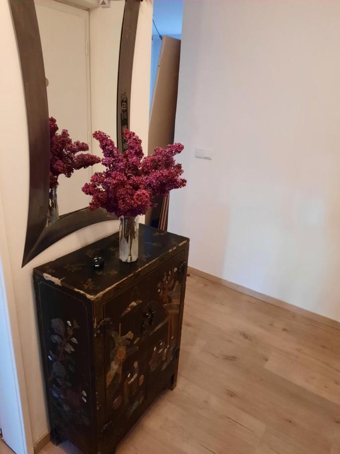 Schone Wohnung In Der Grazer Innenstadt Luaran gambar